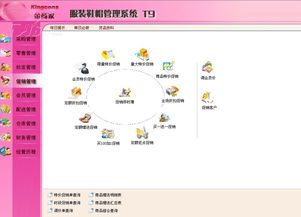 金商家T9服裝軟件 財務行業ERP管理解決方案及IT168素材大全